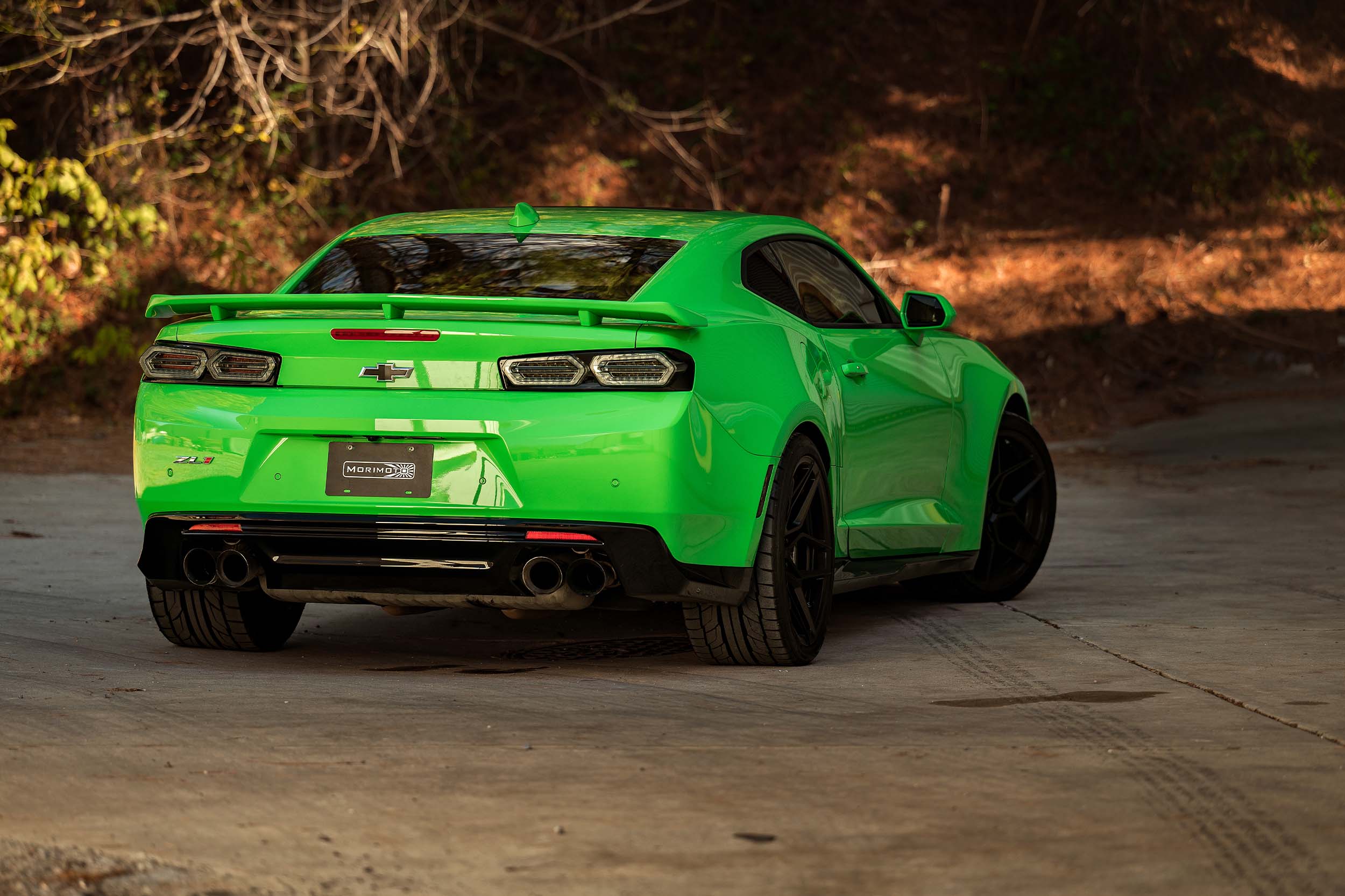 ライト・ランタン motto_kuma tarptotarp model forest green motto_kuma tarptotarp model forest グリーン - メルカリ